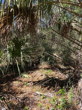 Residential Land in Dunnellon, Florida