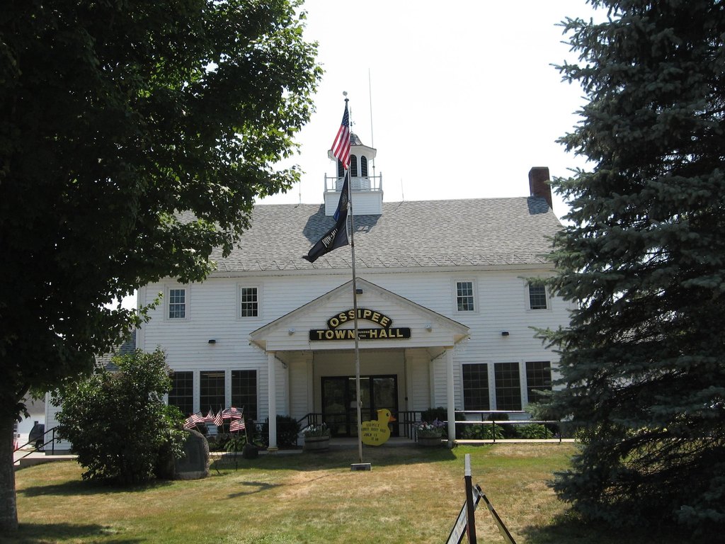 Picture 48