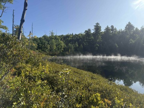 Land, Ossipee, NH
