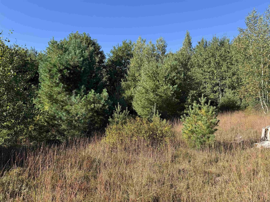 Picture 27