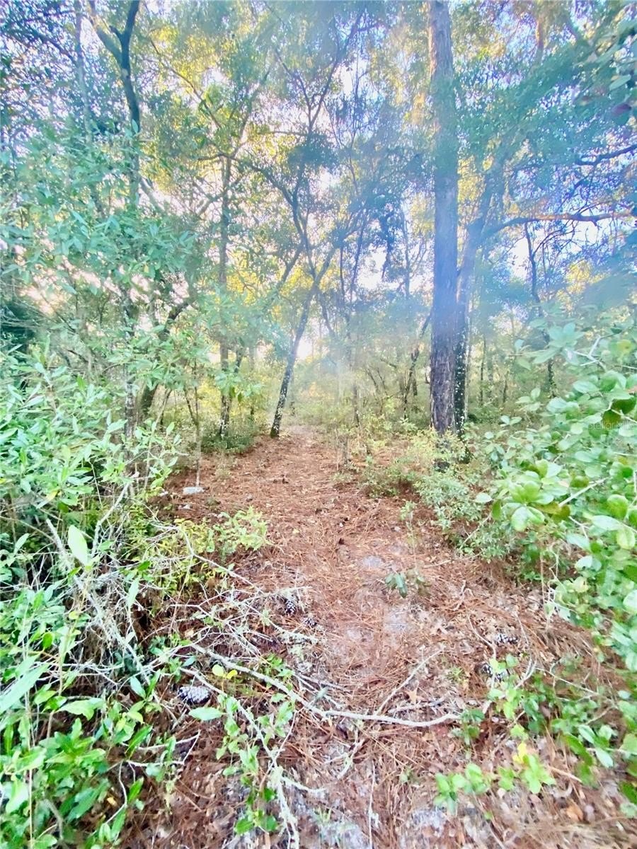 Residential Land Near Inverness Amenities