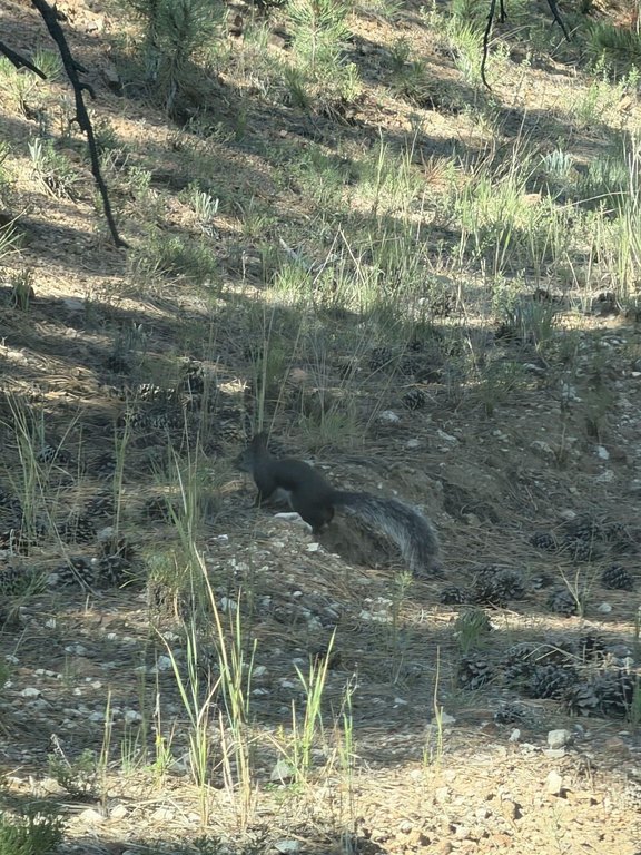 Picture 30
