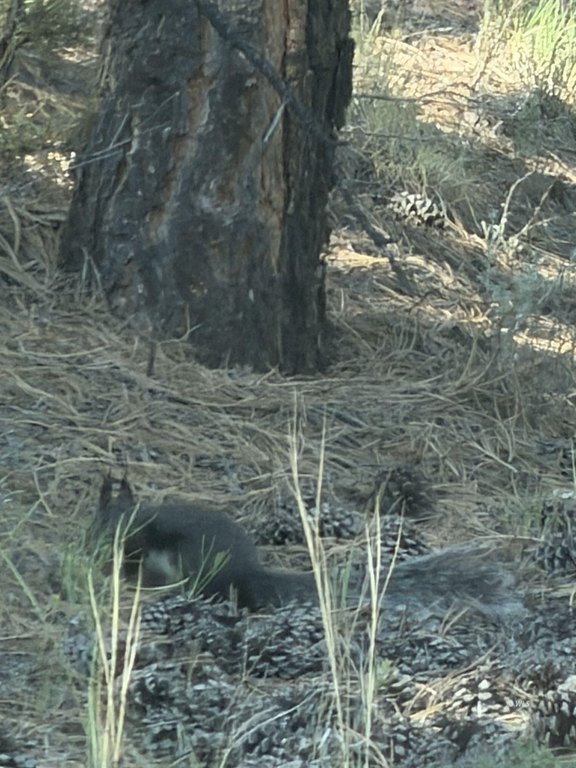 Picture 29