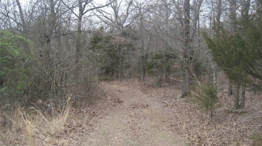 Picture 9