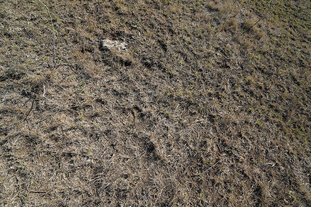 Picture 24