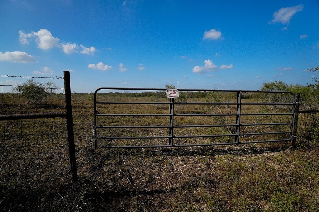 Picture 5