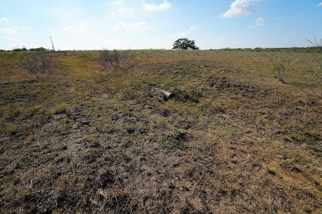 Picture 9