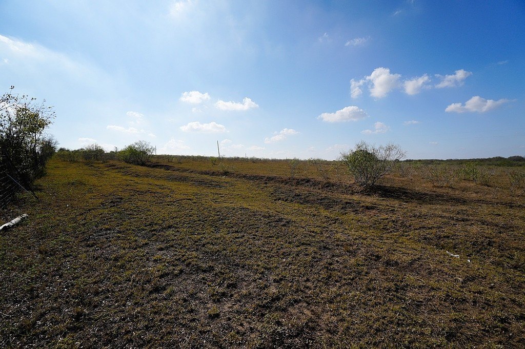 Picture 6