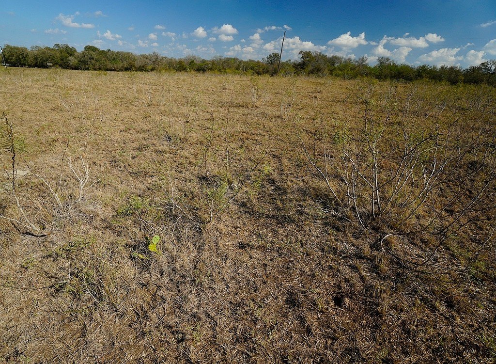 Picture 20
