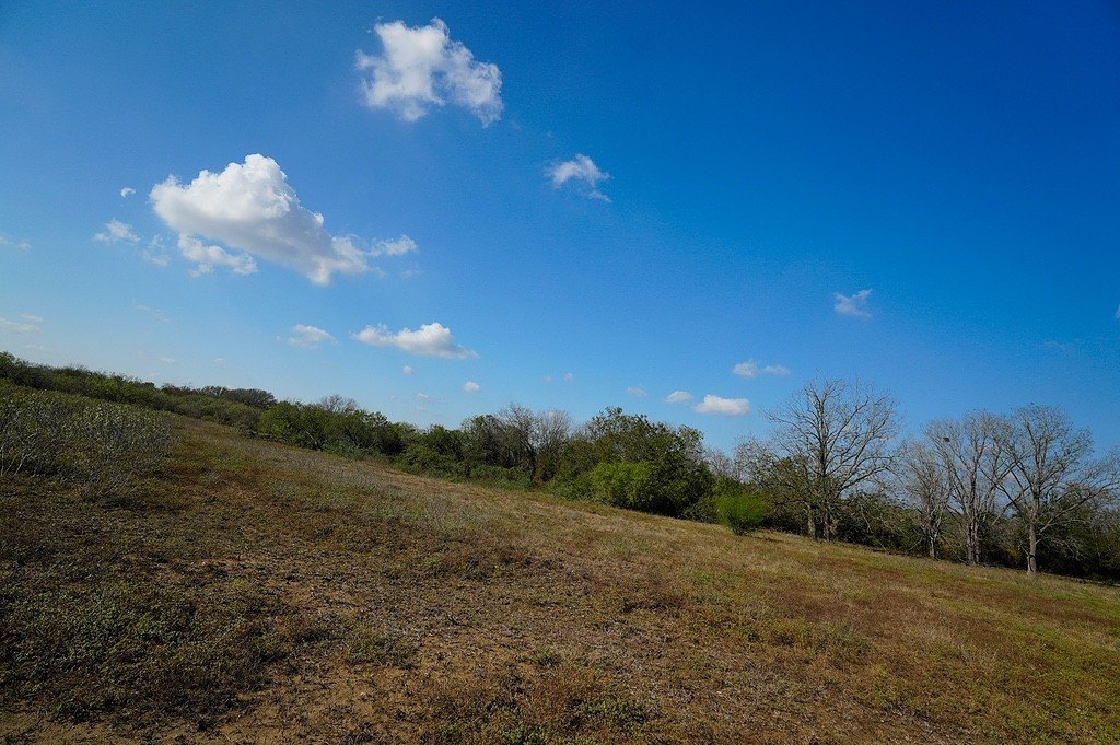 Picture 12