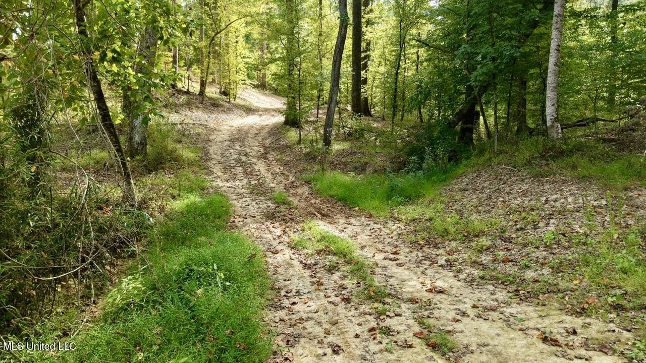 Wooded Land in Flora, MS