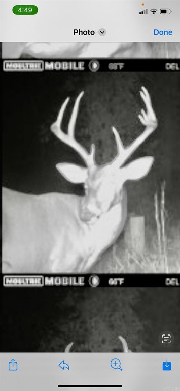 Picture 41