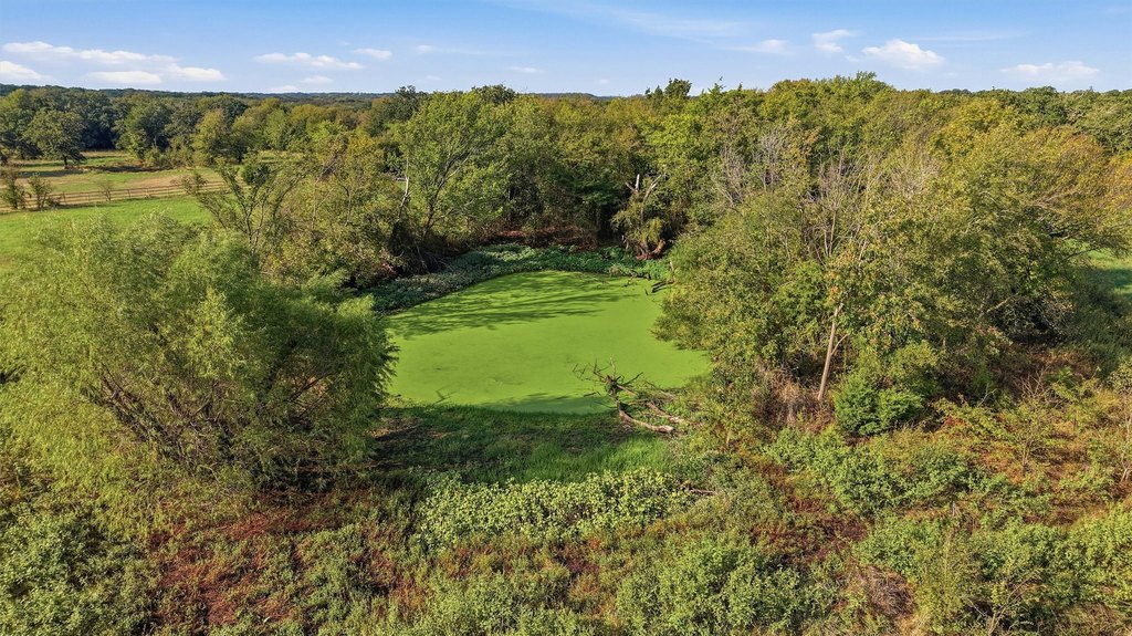 Picture 36