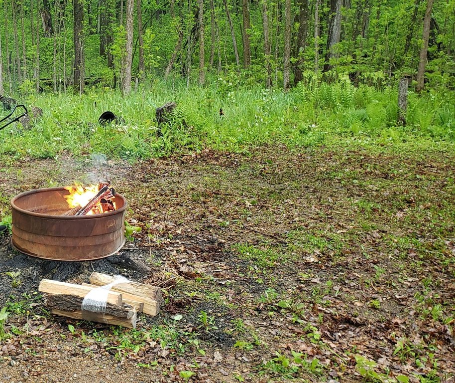 Picture 16