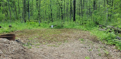 Recreation Waterfront Land with Lake Access