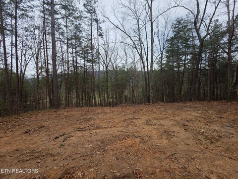 Ready-to-Build Lot Near Ocoee River