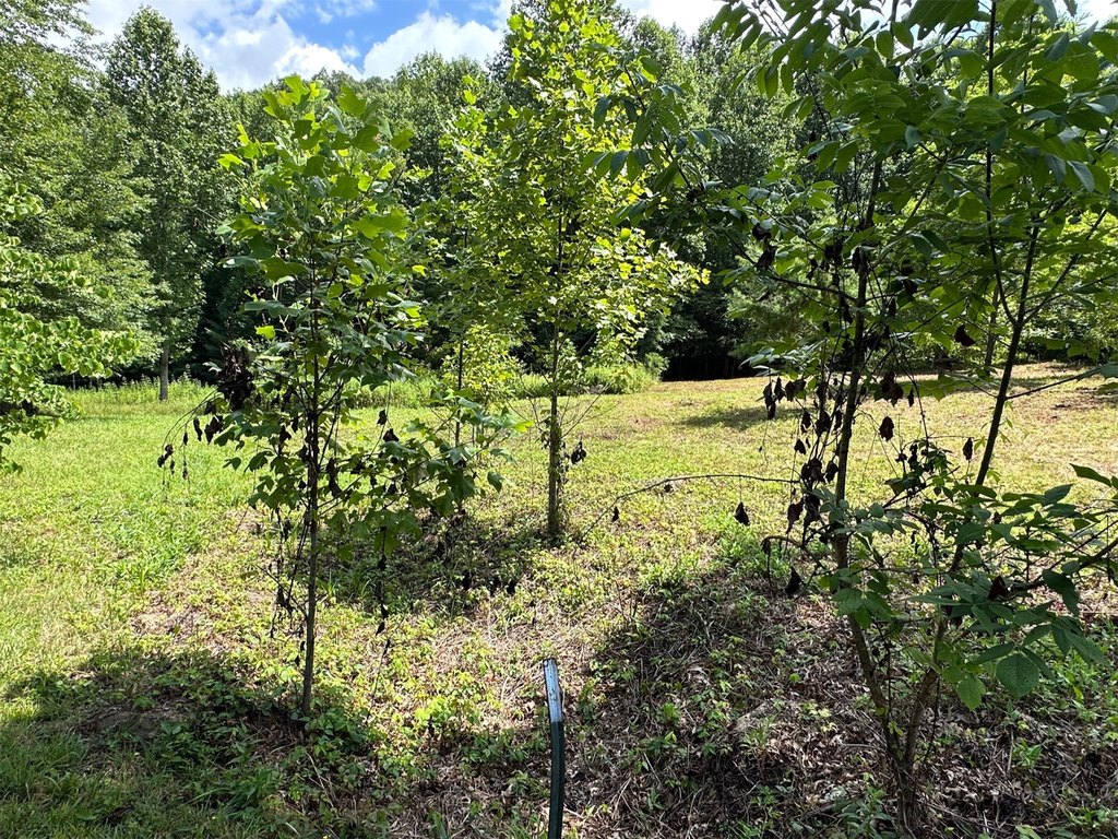 Picture 22