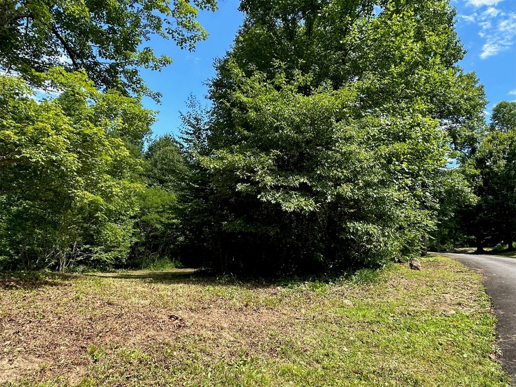 Picture 20