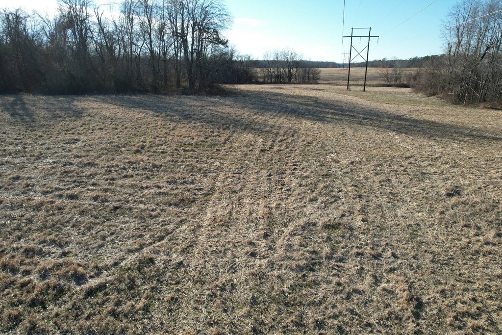 Picture 33
