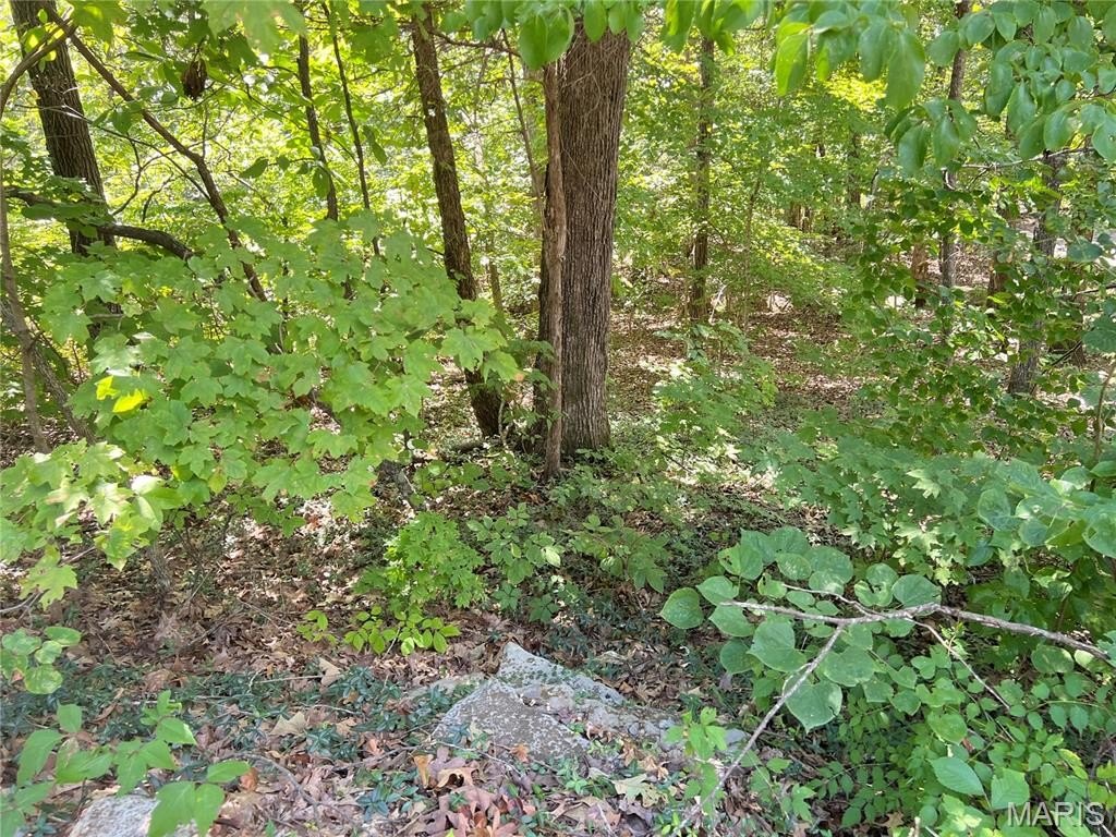 Picture 5