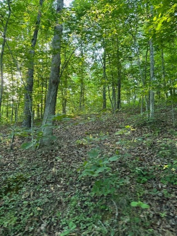 Picture 29