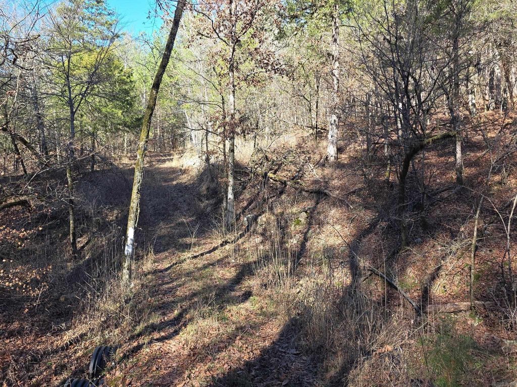 Picture 2