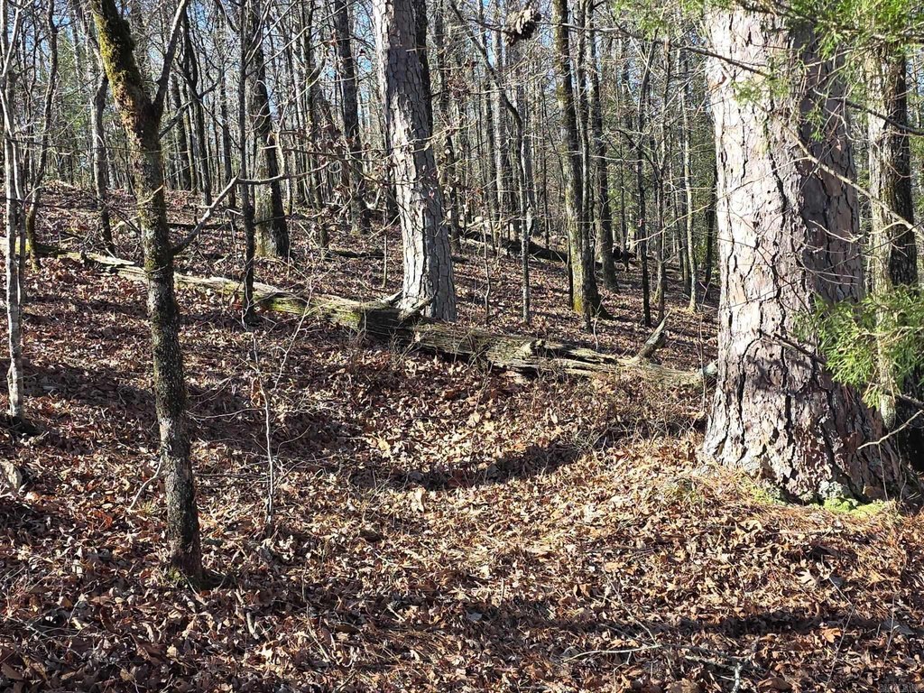 Picture 11