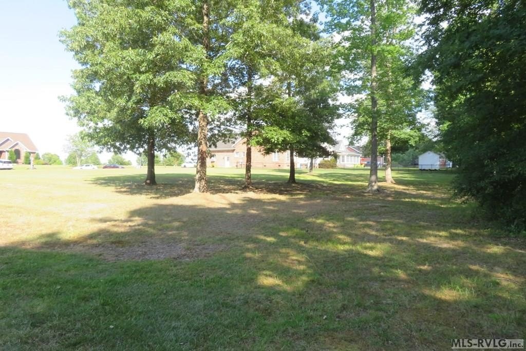 Picture 8