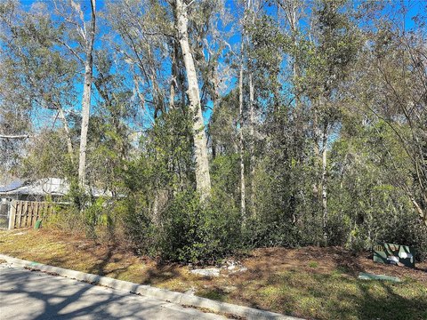 Gainesville Creek Side Lot