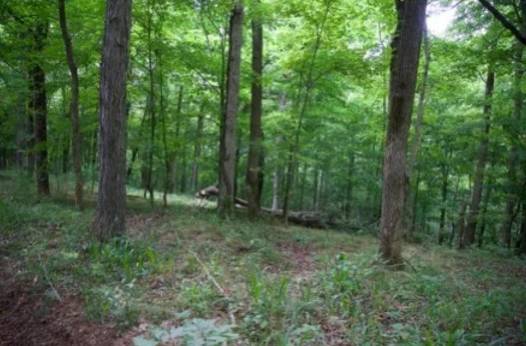 Picture 25