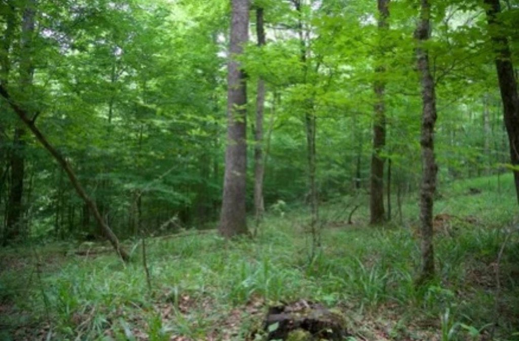 Picture 27