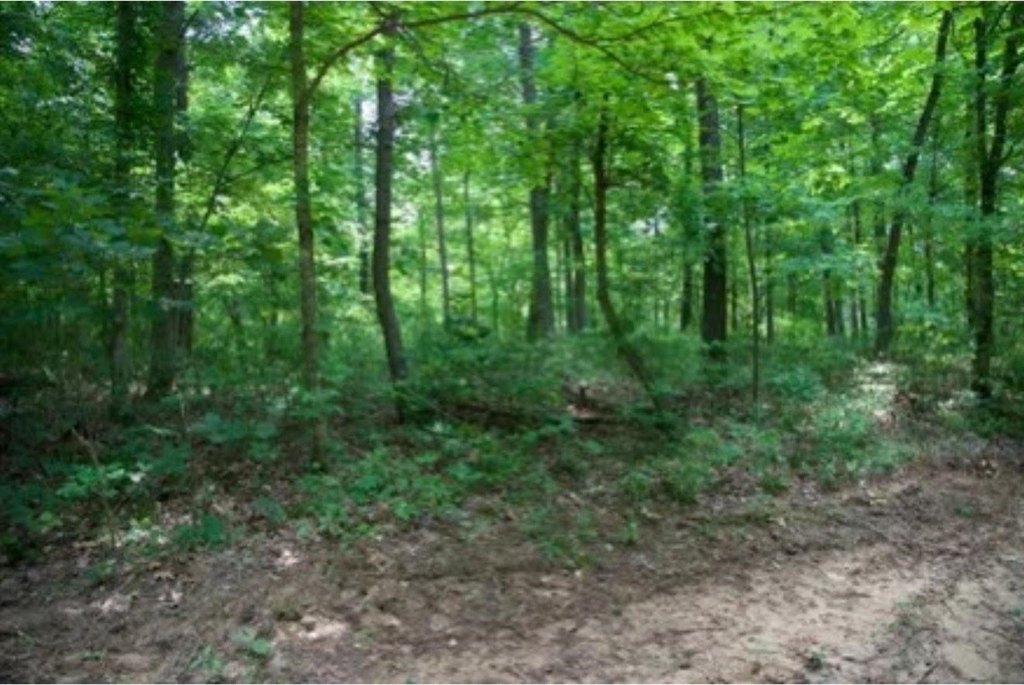 Picture 22