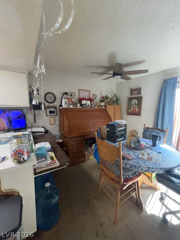 Picture 23