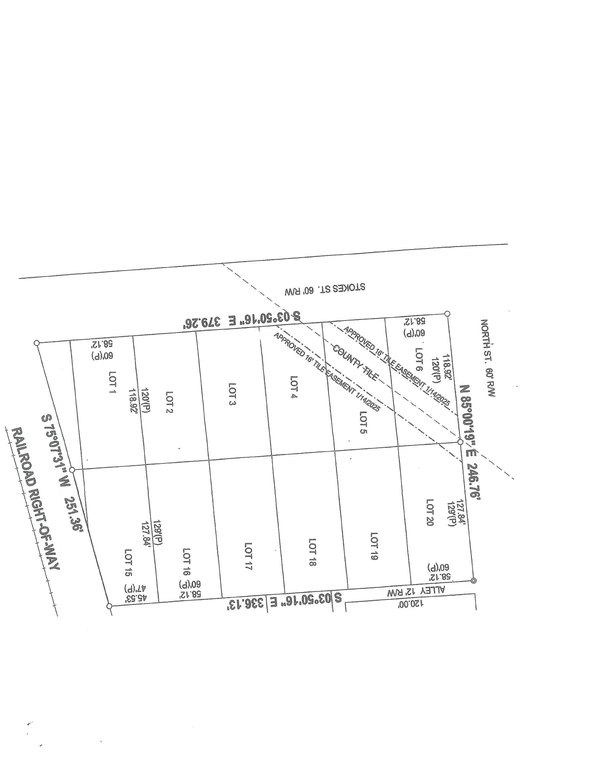 Picture 11
