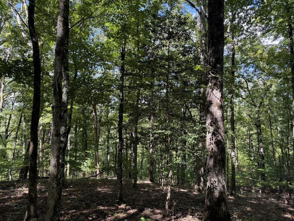 Picture 4