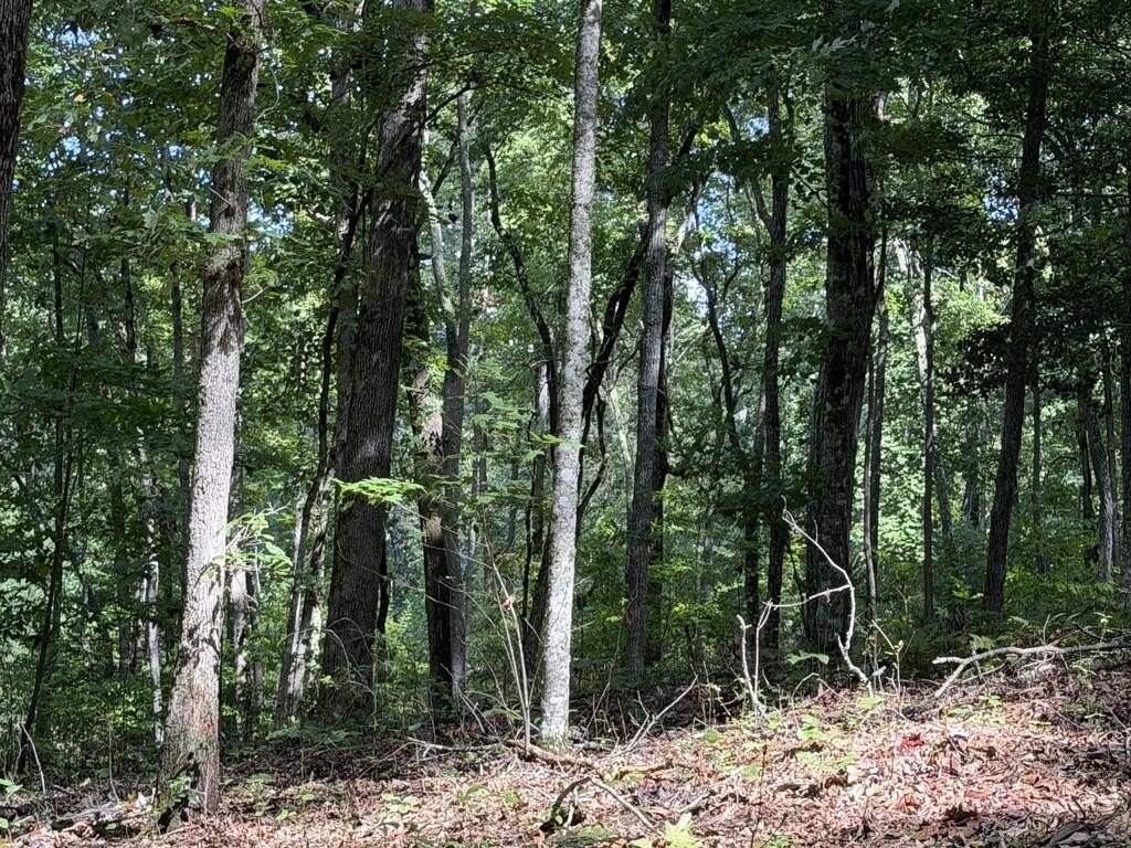 Picture 12