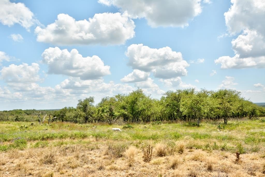 Harper, TX Land with Views