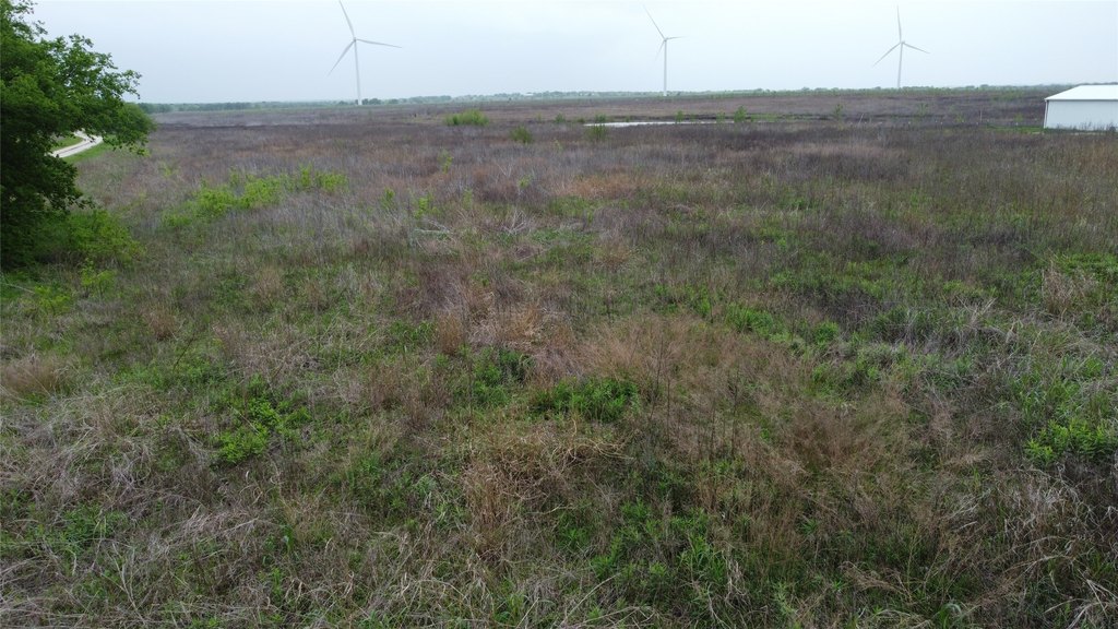 Picture 13