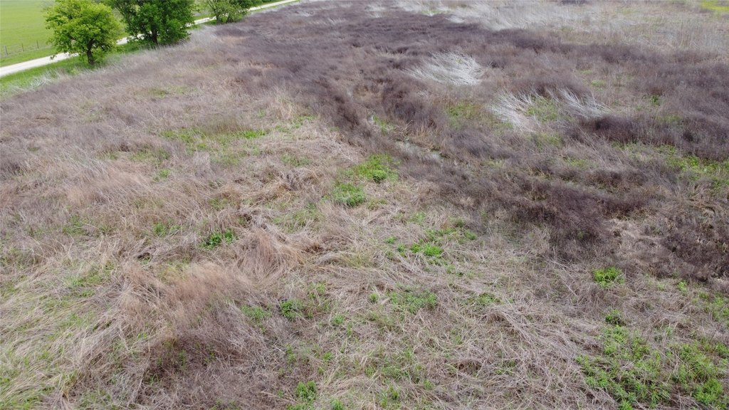 Picture 17
