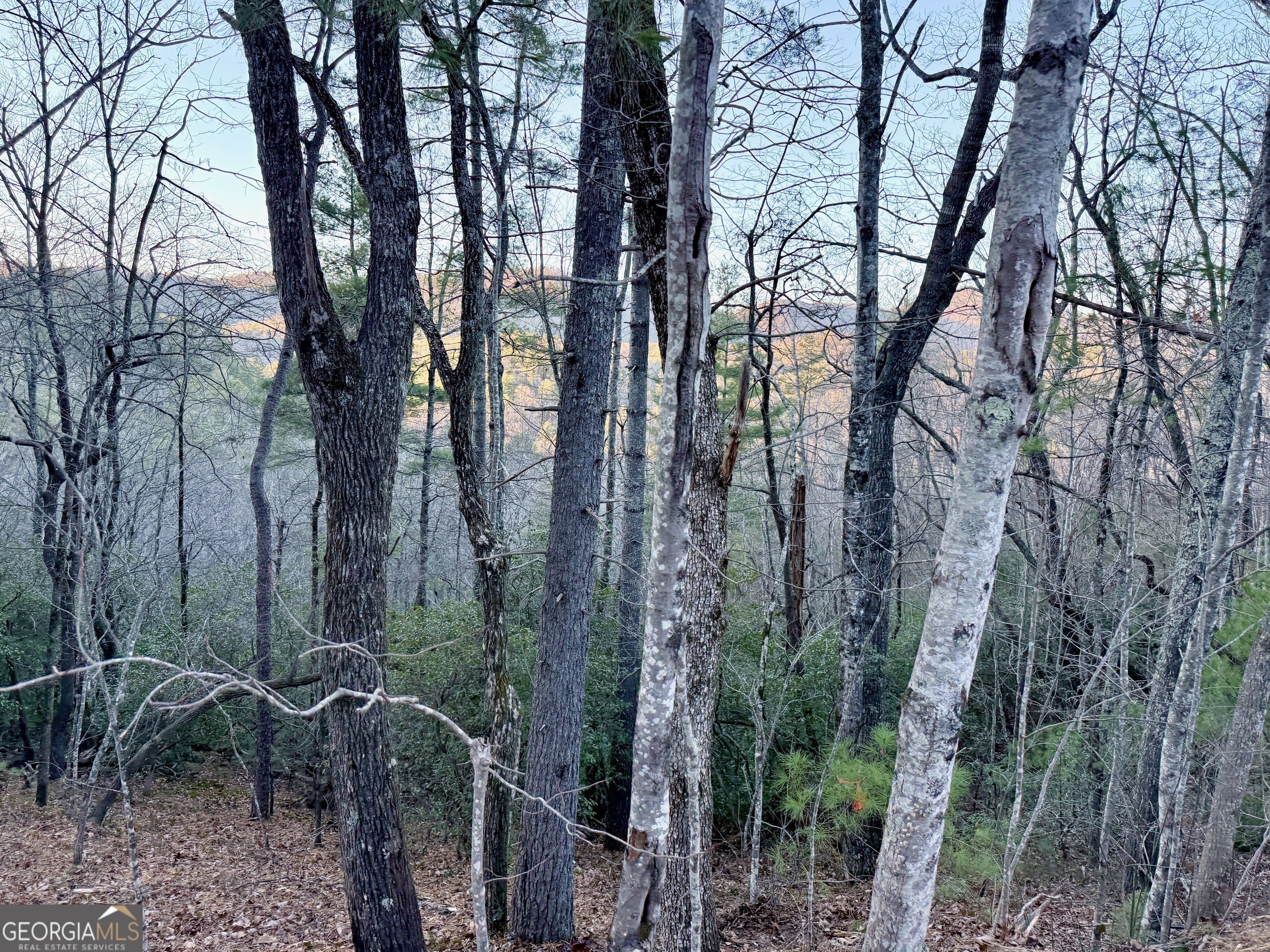 Wooded Lot with Mountain Views