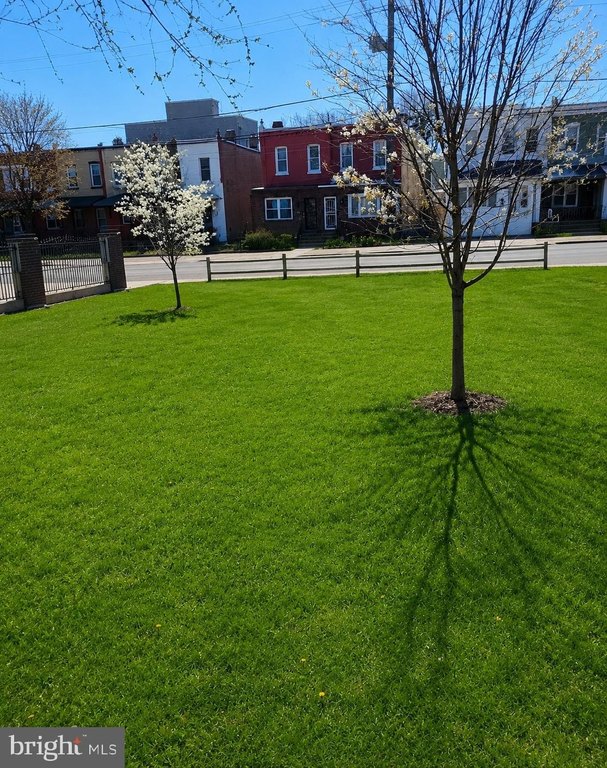 Picture 2
