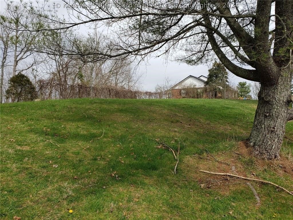 Picture 2