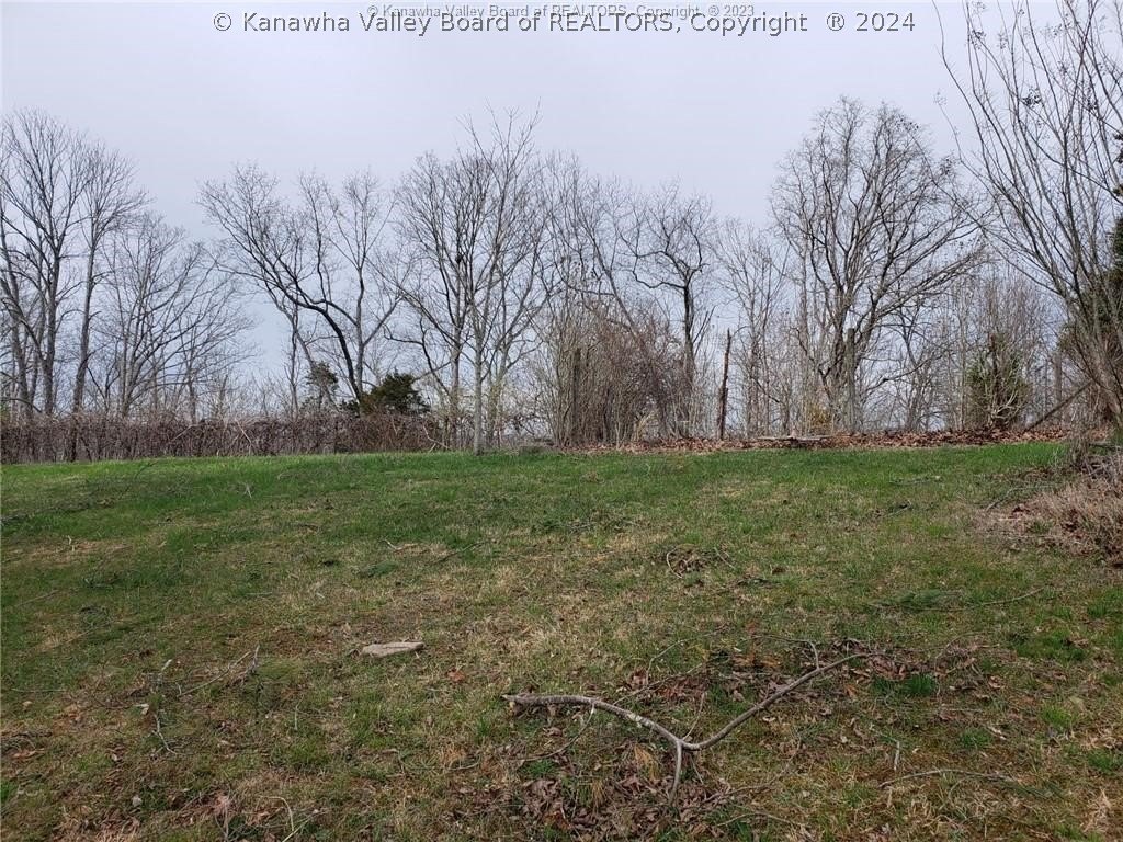 Picture 3