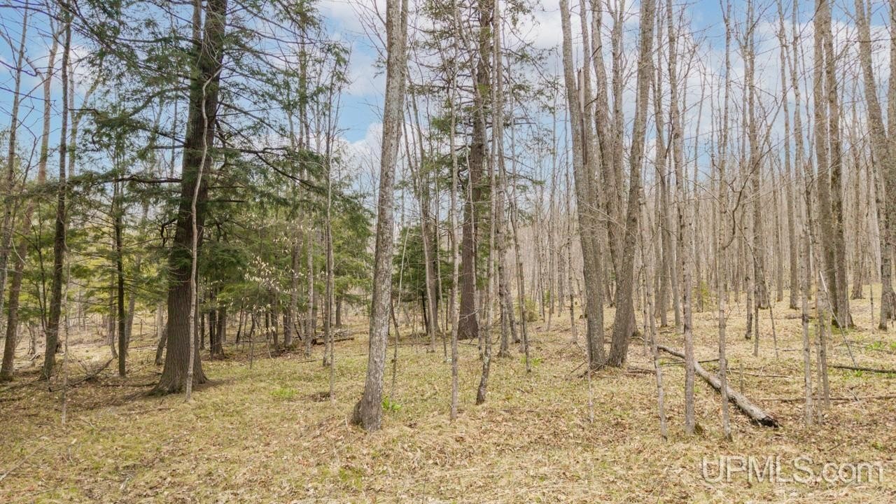 Vulcan, MI Woodland Acreage