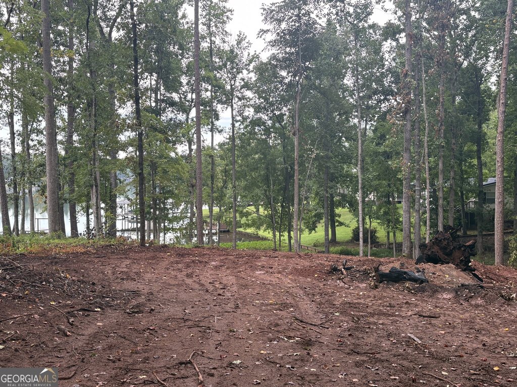 Picture 2