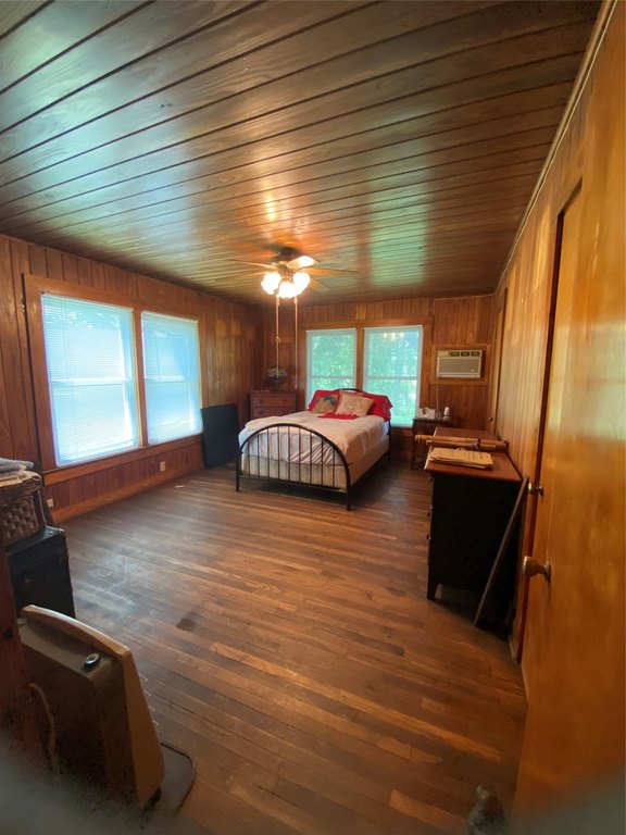 Picture 15