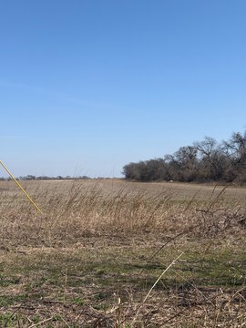 Two Acres in Alvarado, Texas