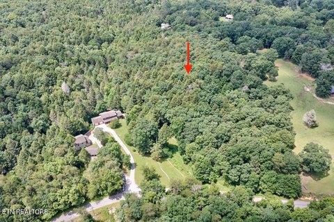 Unrestricted Land with Creek Frontage