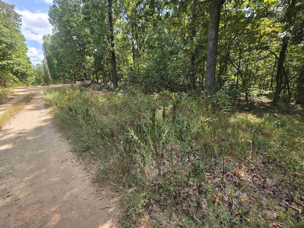 Picture 5