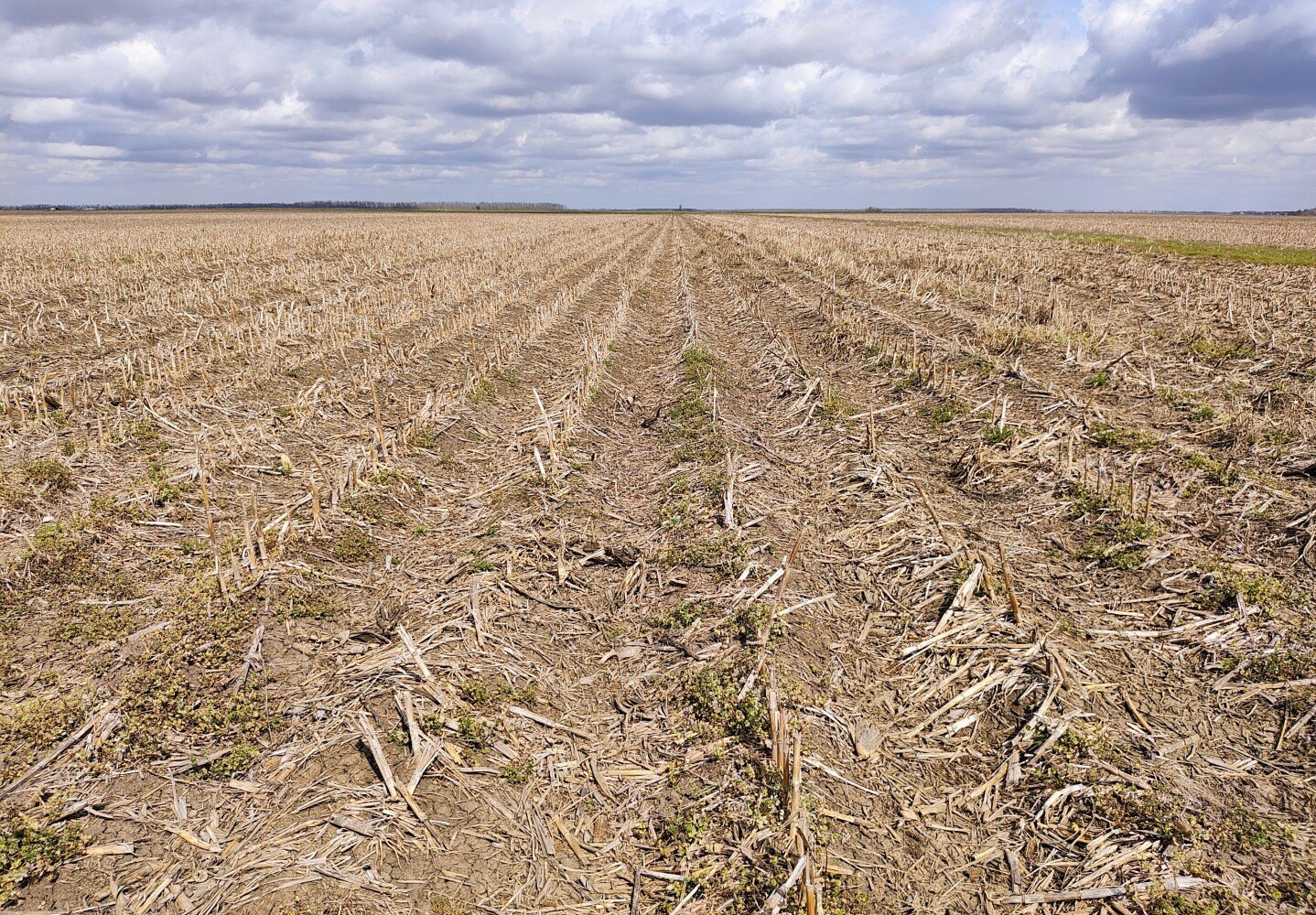 160 Acres Irrigated Farmland